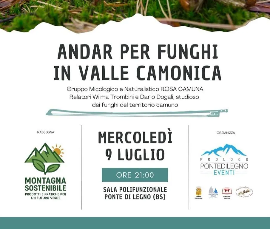 Old Village Apartment Ponte Di Legno